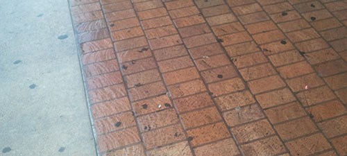 Power washing and surface cleaning and gum removal on a sidewalk in Temple TX, before photo.